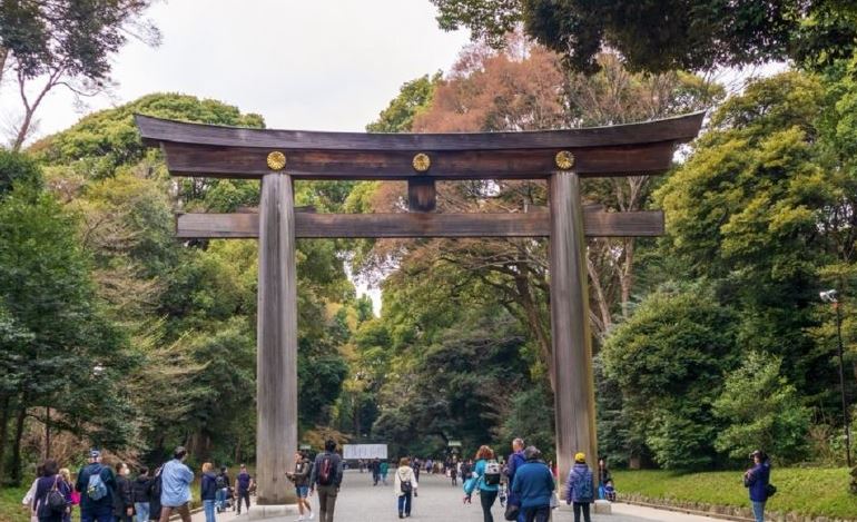 puerta torii santuario meiji jingu puerta torii santuario meiji jingu