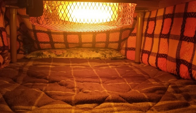 que hay debajo de una mesa japonesa