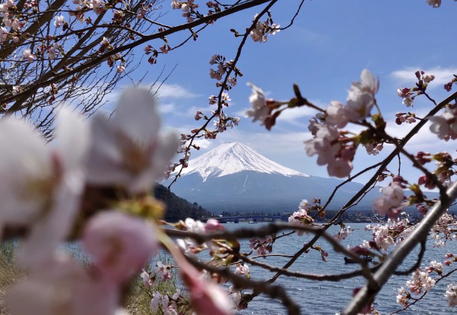 cuando es la temporada alta en japon cuando es la temporada alta en japon