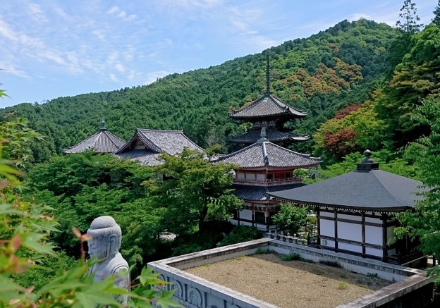 cuales son las ventajas de viajar a japon cuales son las ventajas de viajar a japon