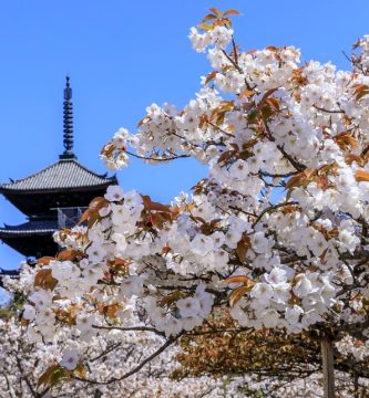 templo ninnaji kioto japon