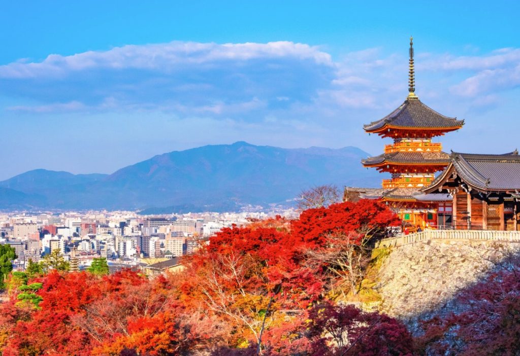 ver el momiji en japon ver el momiji en japon