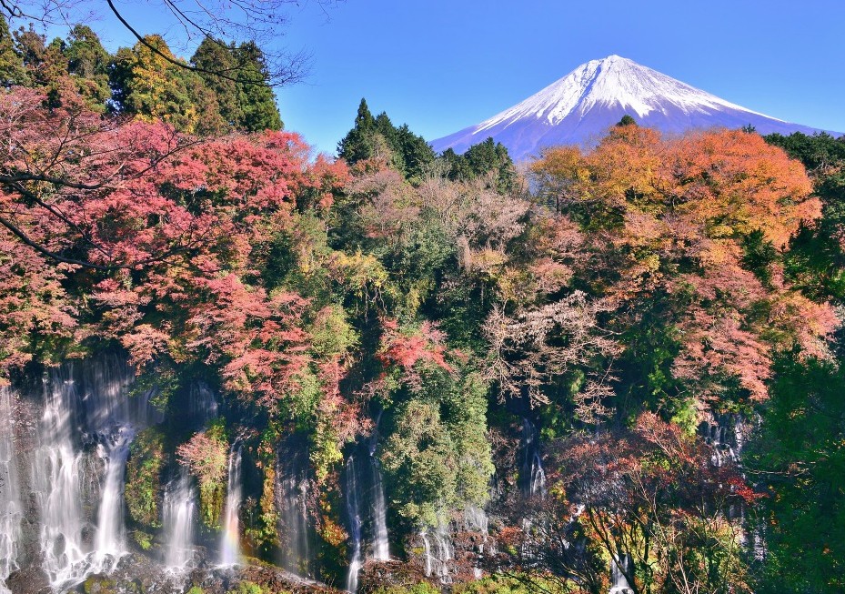 Excursión Monte Fuji en español