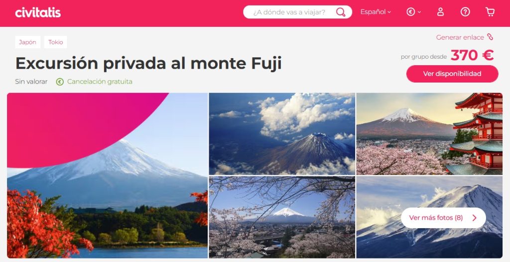excursion privada al monte fuji en español