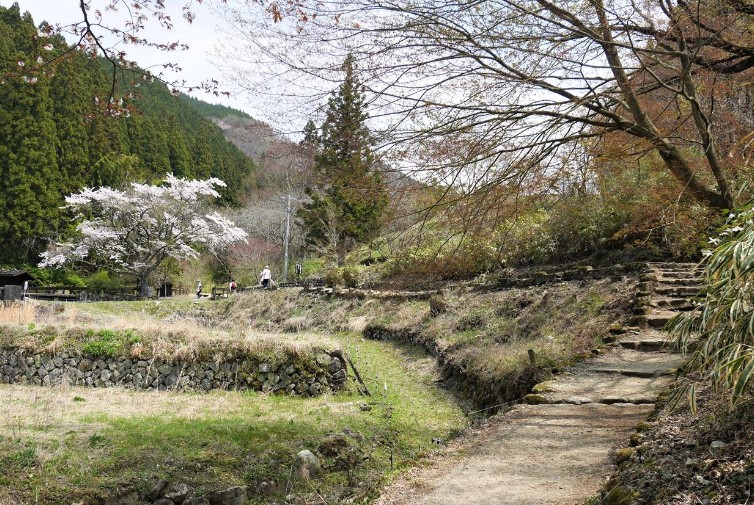 calzado recomendado ruta nakasendo