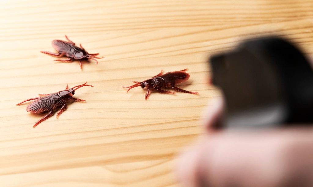 supersticiones curiosas de japon