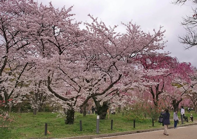 Kyoto Botanical Gardens Kyoto Botanical Gardens