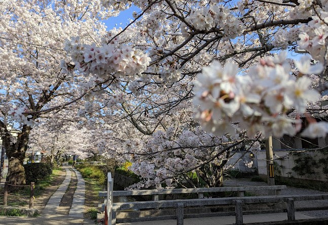 Tetsugaku no Michi kyoto Tetsugaku no Michi kyoto