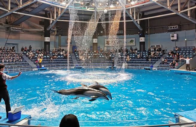 actividades con niños en tokio actividades con niños en tokio