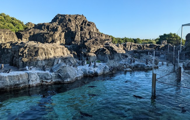 actividades para niños en tokio actividades para niños en tokio