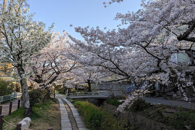 camino del filosofo en kioto camino del filosofo en kioto