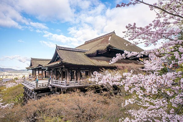 cherry blossom en kiyomizudera cherry blossom en kiyomizudera