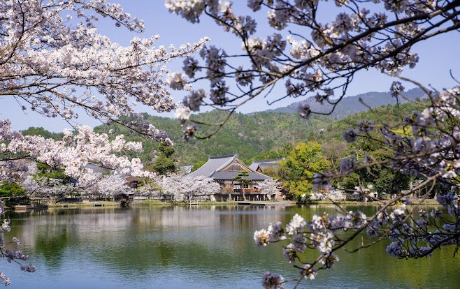 mejores lugares para ver cerezos en flor en kioto mejores lugares para ver cerezos en flor en kioto