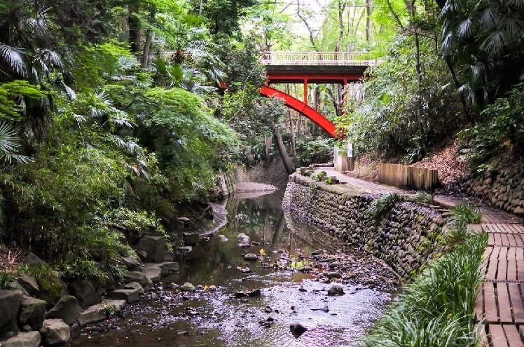 parques con niños de tokio parques con niños de tokio