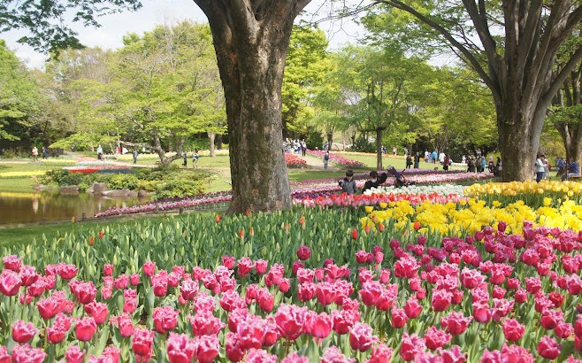 parques para ir con niños en tokio parques para ir con niños en tokio