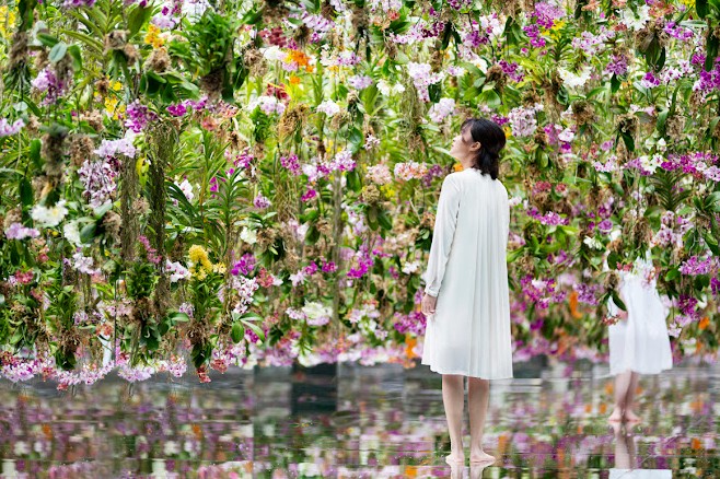 planes con niños en tokyo planes con niños en tokyo