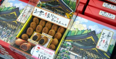 que es el omiyage en japon