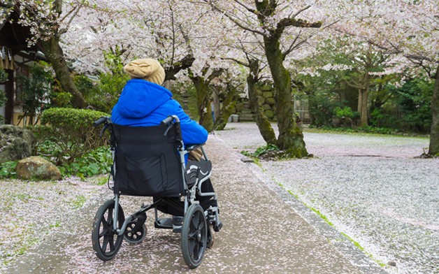 qué ver en japón en silla de ruedas qué ver en japón en silla de ruedas