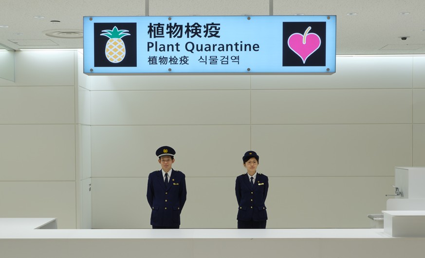 Control de cuarentena animal o vegetal en japon