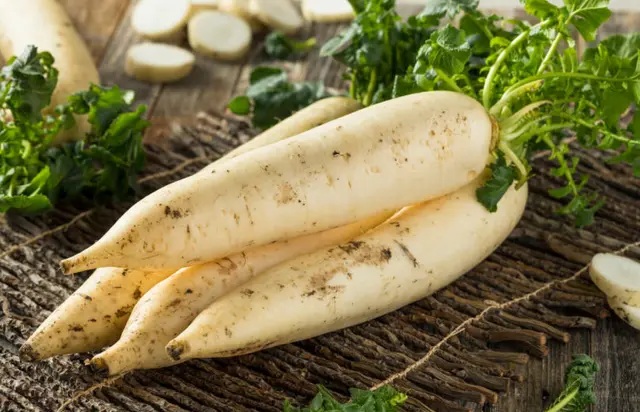 ingredientes esenciales en la comida japonesa ingredientes esenciales en la comida japonesa