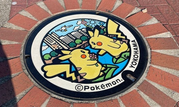 que son las poke lids de japon que son las poke lids de japon