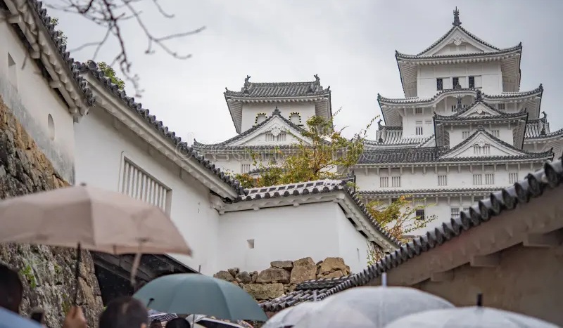 se puede viajar a japon en verano se puede viajar a japon en verano