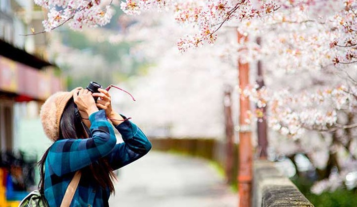 cupon descuento seguros intermundial japon cupon descuento seguros intermundial japon