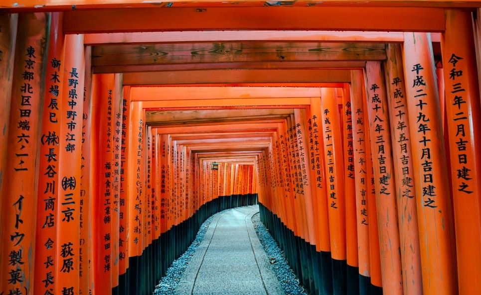que seguro de viaje escoger para japon que seguro de viaje escoger para japon